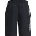 Шорти Under Armour Wool Graphic 1370178 003