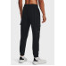 Штани Under Armour Cargo 1380358 001