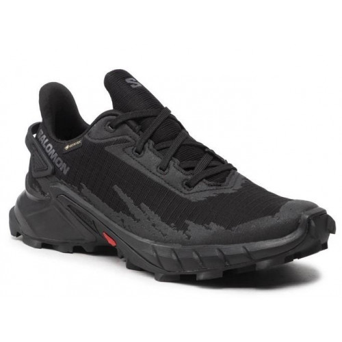 Кросівки Salomon AlphaCross 4 GTX 470640