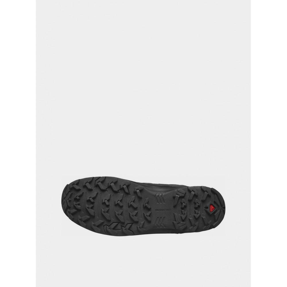 Черевики Salomon GTX 471748