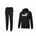 Костюм Puma Essentials Big Logo Cotton 486812 01/846820 01