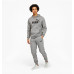 Костюм Puma Essentials Big Logo Cotton 486812 03/846820 03