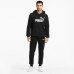 Костюм Puma Big Logo Sportwear 586688 01/586716 01