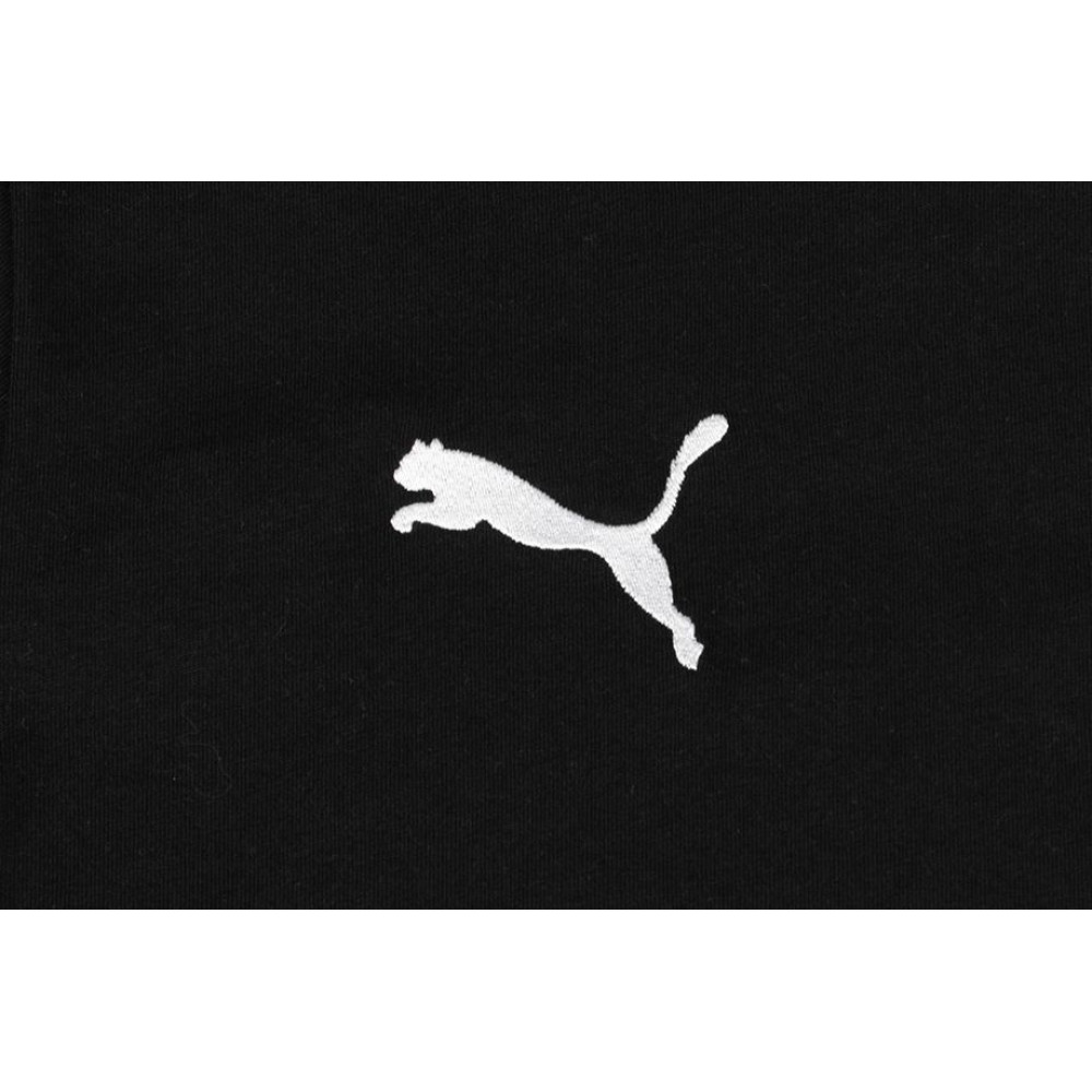 Футболка Puma Teamgoal 23 Casuals Tee 656578 03