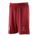 Шорти Adidas FCB UCL Training AO0337