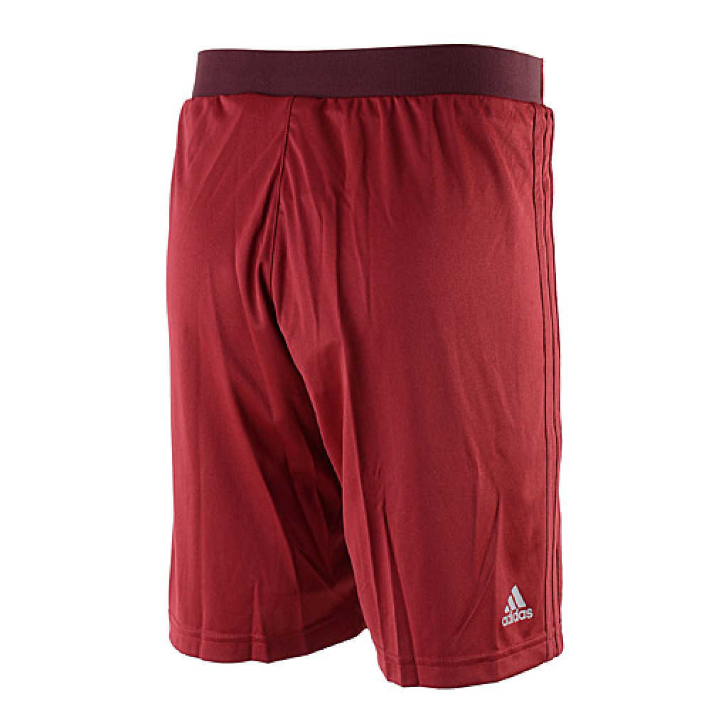 Шорти Adidas FCB UCL Training AO0337