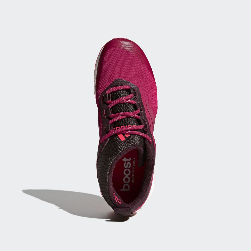 Кросівки Adidas Pure Boost 2G Heat W AQ6033