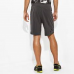 Шорти Adidas A2G High End Men's Shorts AX9938