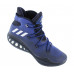Кросівки Adidas Crazy Explosine B49394