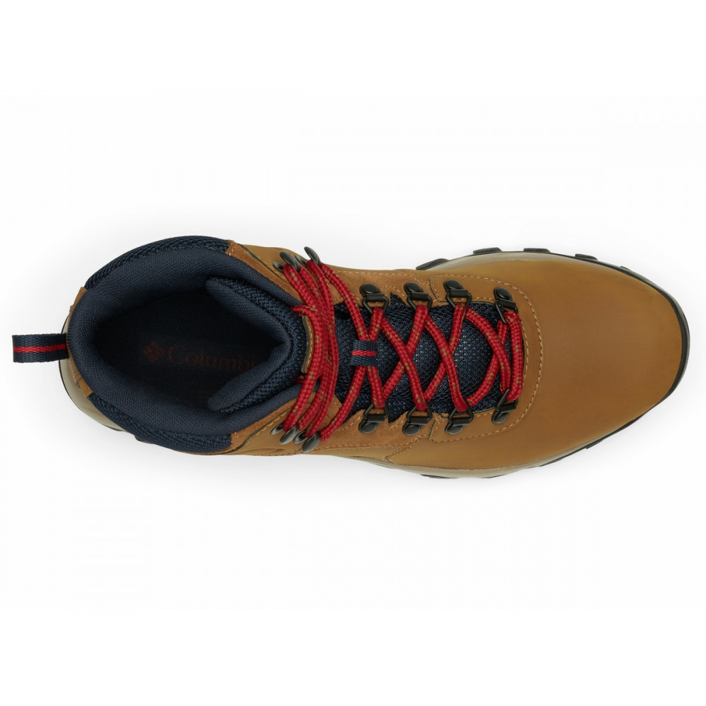 Черевики Columbia Newton Ridge Plus II Waterproof BM3970-234