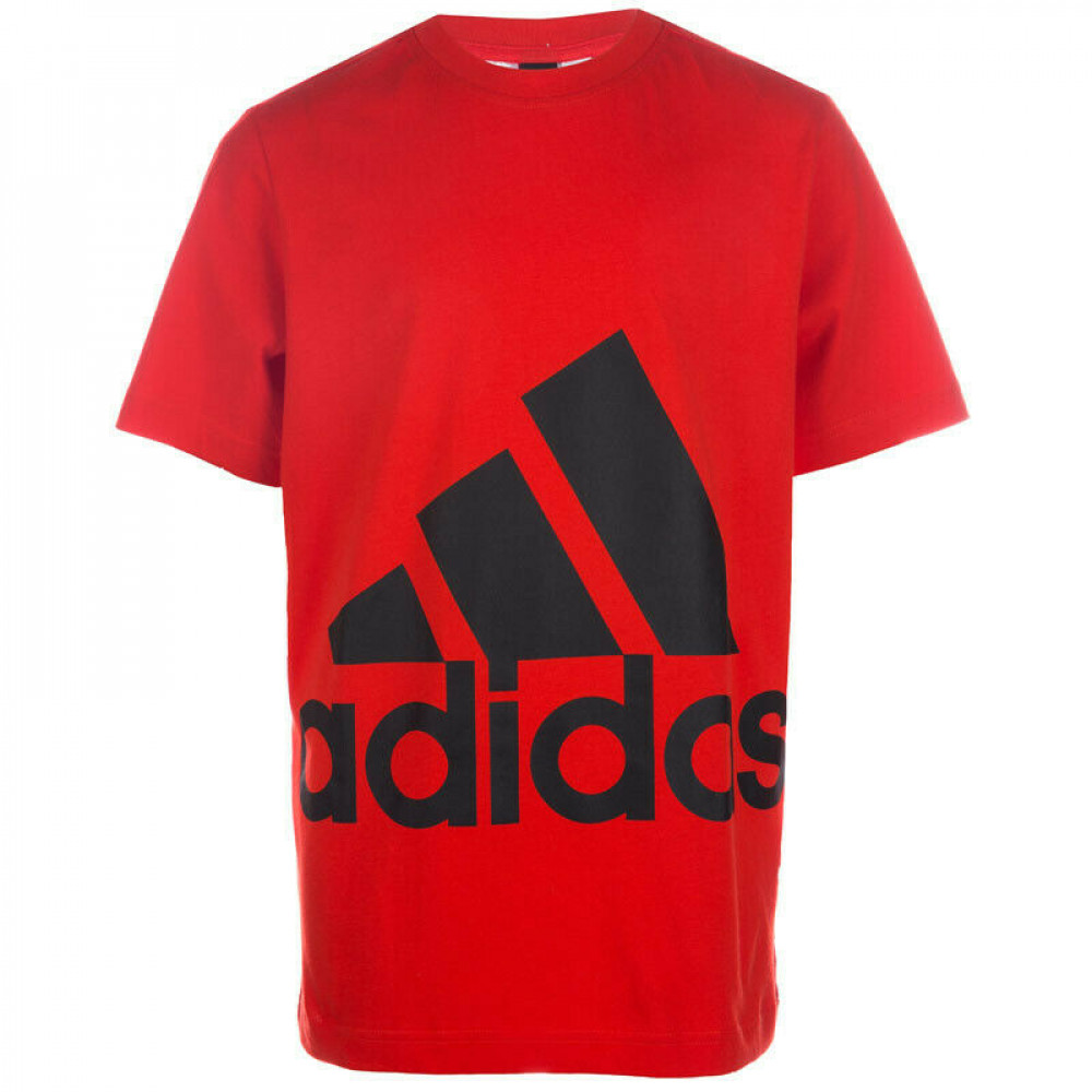 Футболка Adidas Junior Essentials Big Logo BP8763