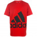 Футболка Adidas Junior Essentials Big Logo BP8763