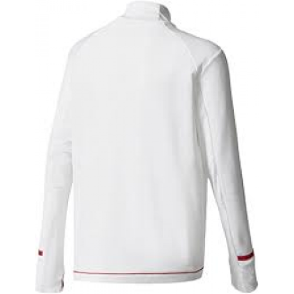 Кофта Adidas Bayern Munich Training Technical BQ4604