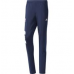 Штани Adidas FC Bayern Munich BS0072