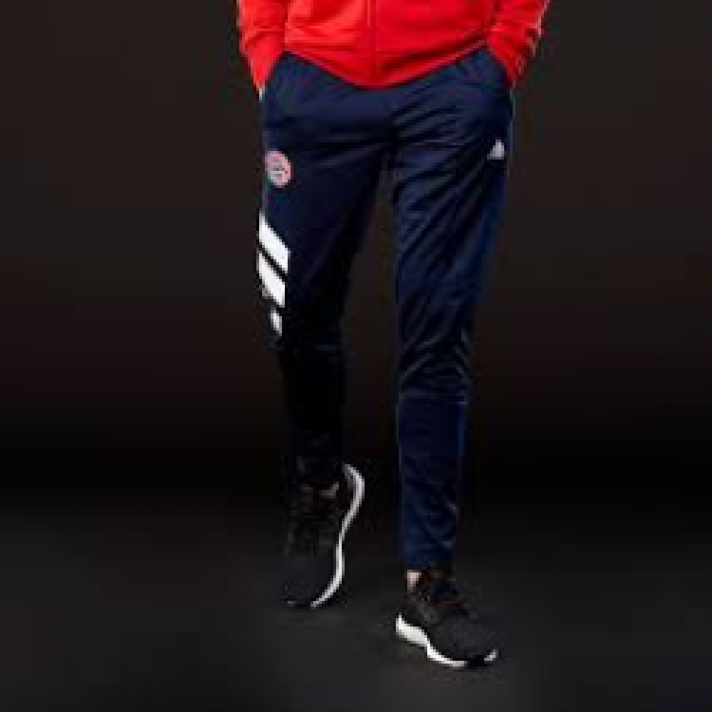 Штани Adidas FC Bayern Munich BS0072