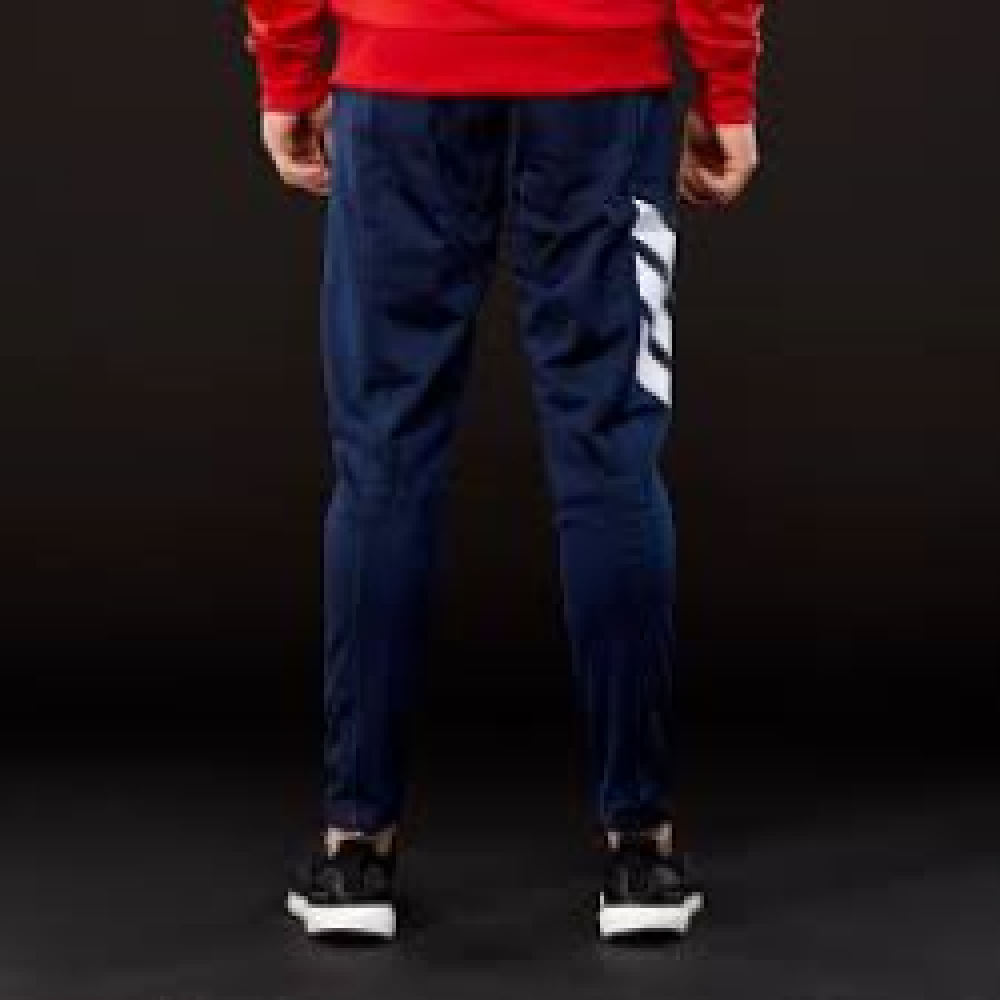 Штани Adidas FC Bayern Munich BS0072