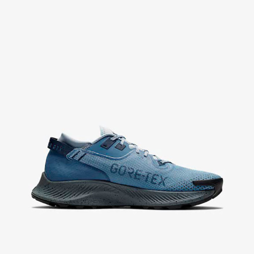 Nike Pegasus Trail 2 Gore-Tex