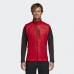 Безрукавка Adidas Terrex Agravic Vest CZ0664