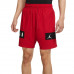 Шорти Jordan Dri Fit Air Mesh Graphic CZ4771 687