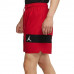 Шорти Jordan Dri Fit Air Mesh Graphic CZ4771 687