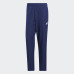 Штани Adidas Condivo 18 CV8253