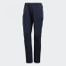 Штани Adidas Terrex AllSeason CY9086