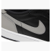 Кросівки Nike Air Jordan1 Retro Low OG CZ0790 003