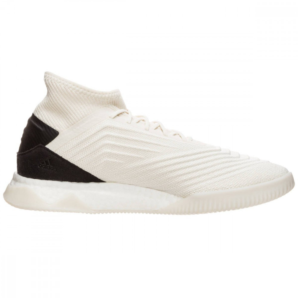 Футзалки Adidas Predator 19.1 TR M D98056