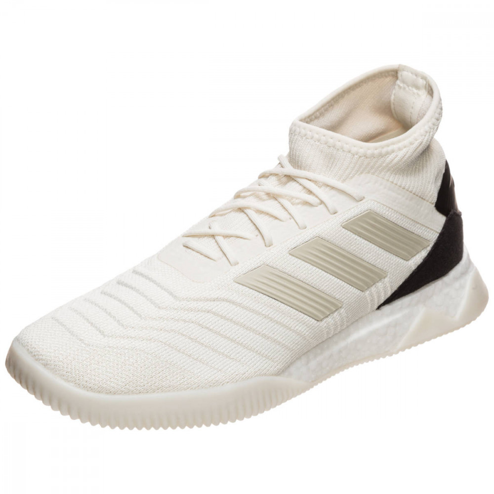 Футзалки Adidas Predator 19.1 TR M D98056