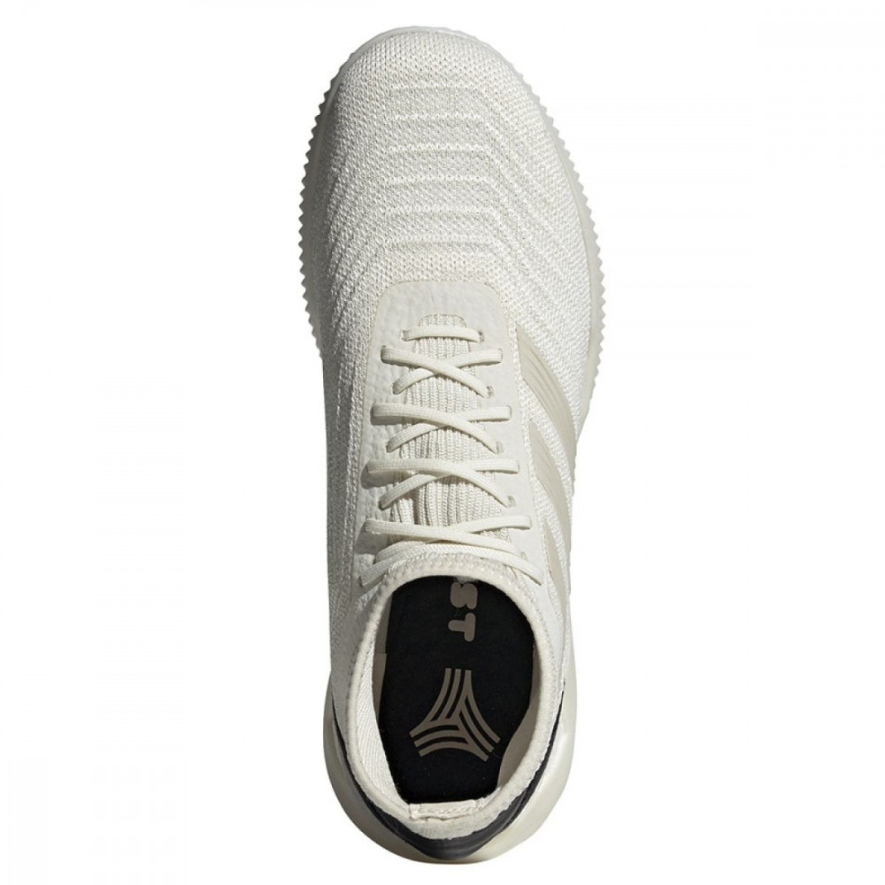 Футзалки Adidas Predator 19.1 TR M D98056