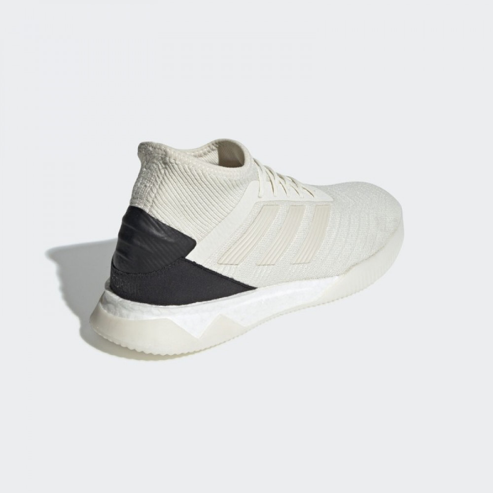 Футзалки Adidas Predator 19.1 TR M D98056