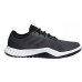 Кросівки Adidas CrazyTrain Lt W DA8689