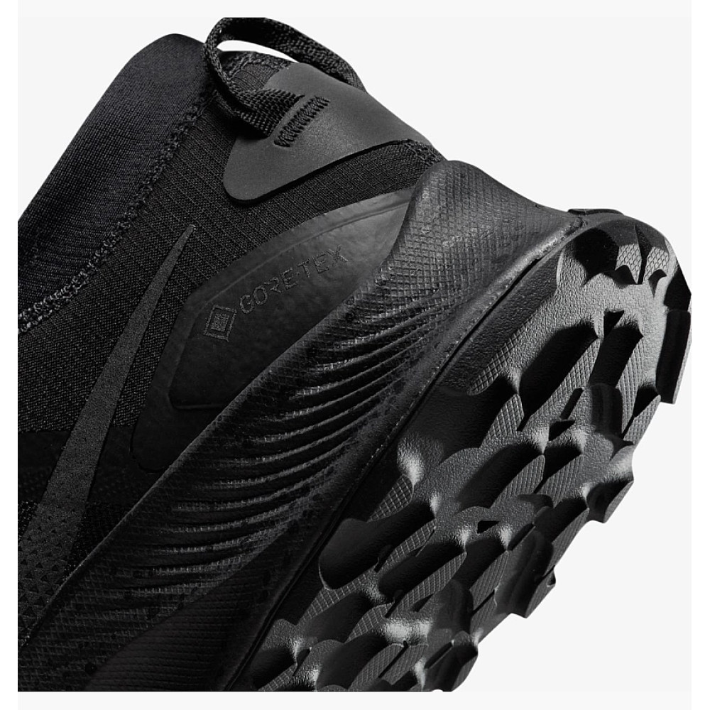 Кросівки Nike Pegasus Trail 3 GTX DC8793 001
