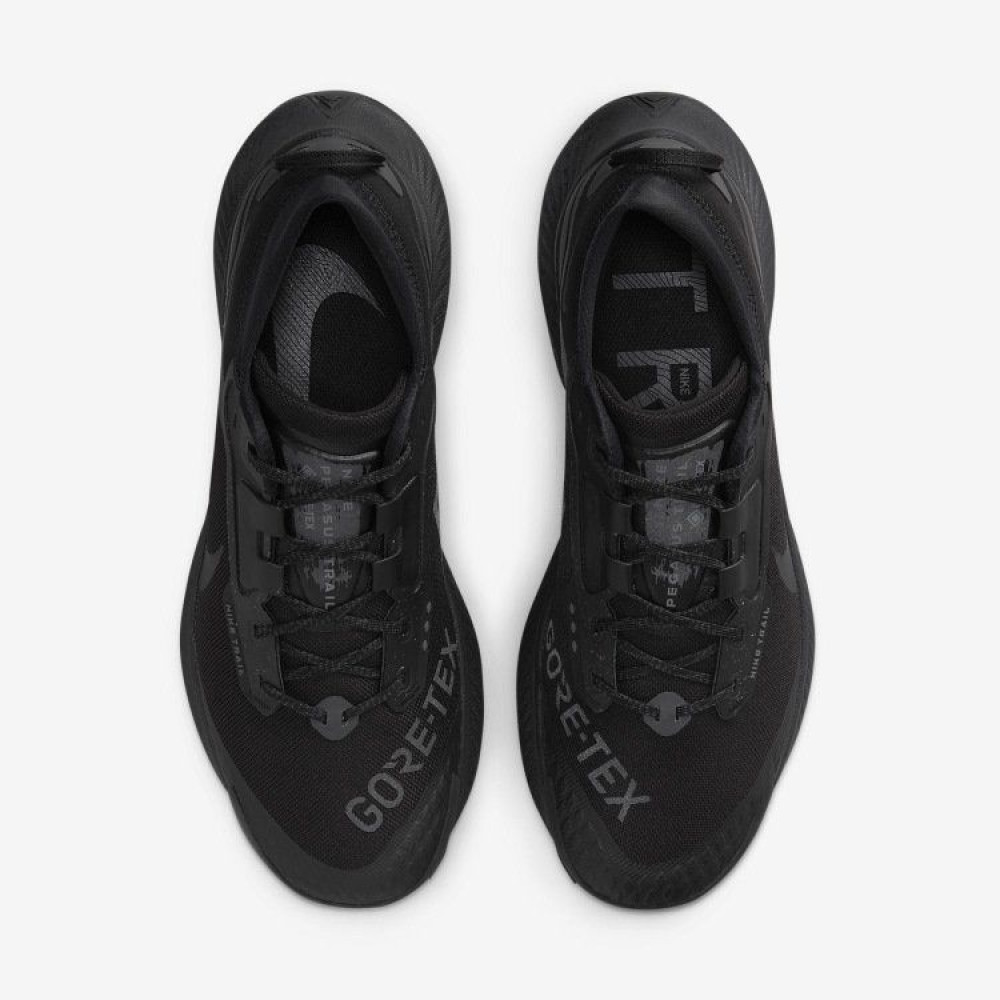 Кросівки Nike Pegasus Trail 3 GTX DC8793 001