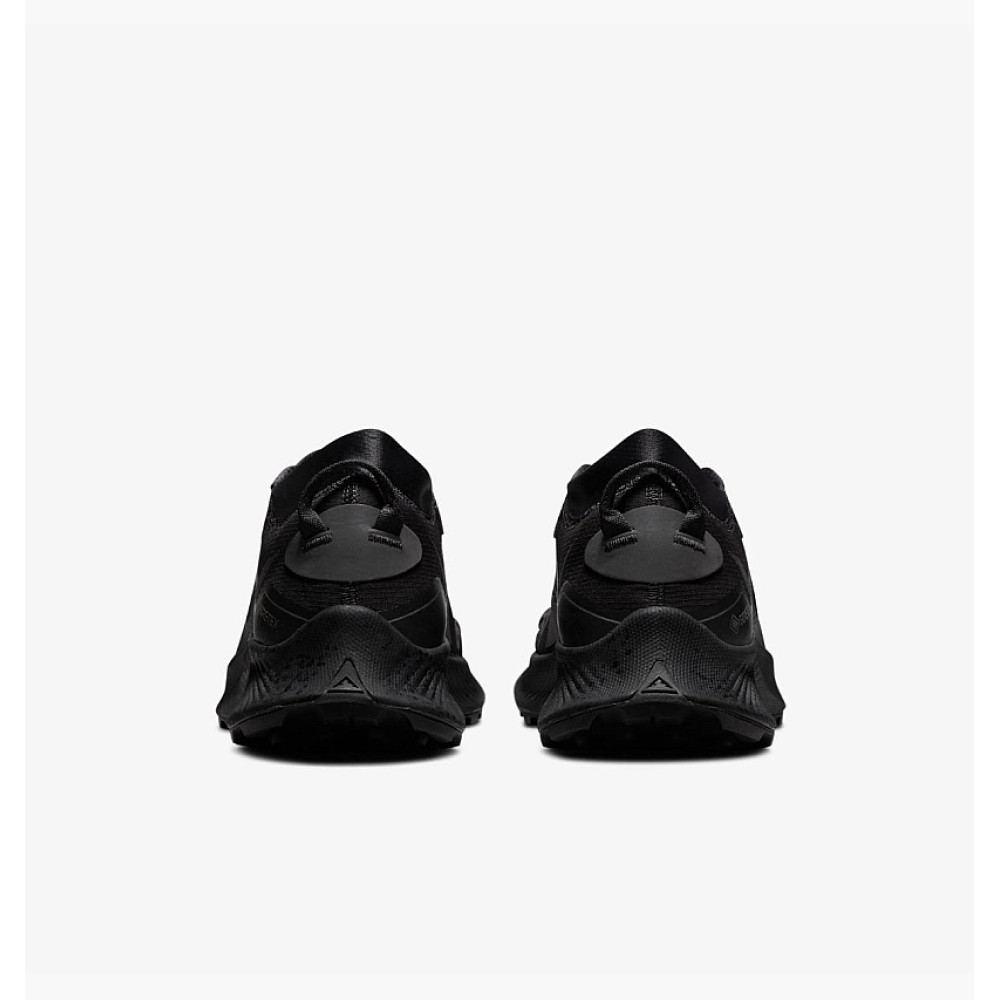Кросівки Nike Pegasus Trail 3 GTX DC8793 001