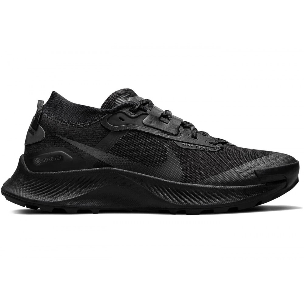 Кросівки Nike Pegasus Trail 3 Gore Tex DC8794 001