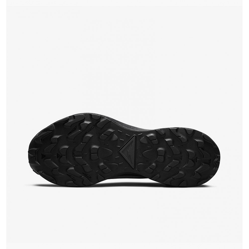 Кросівки Nike Pegasus Trail 3 Gore Tex DC8794 001