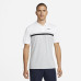 Поло чоловіча Nike Dri Fit Golf DH0849 100