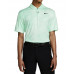 Поло Nike Dryi Fit Golf DH0936 379