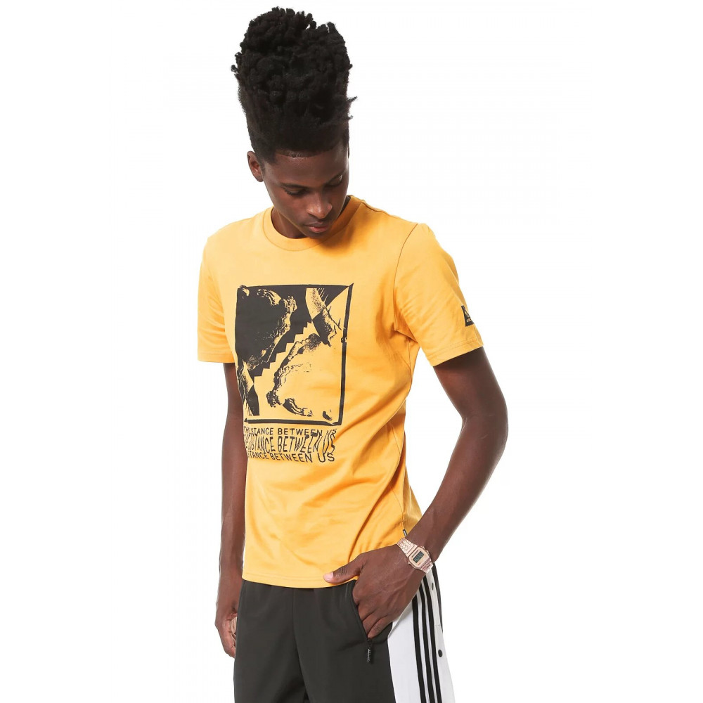 Футболка Adidas Skateboarding DH3937