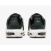 Кросівки Nike Air Max Terrascape Plus DN4590 001