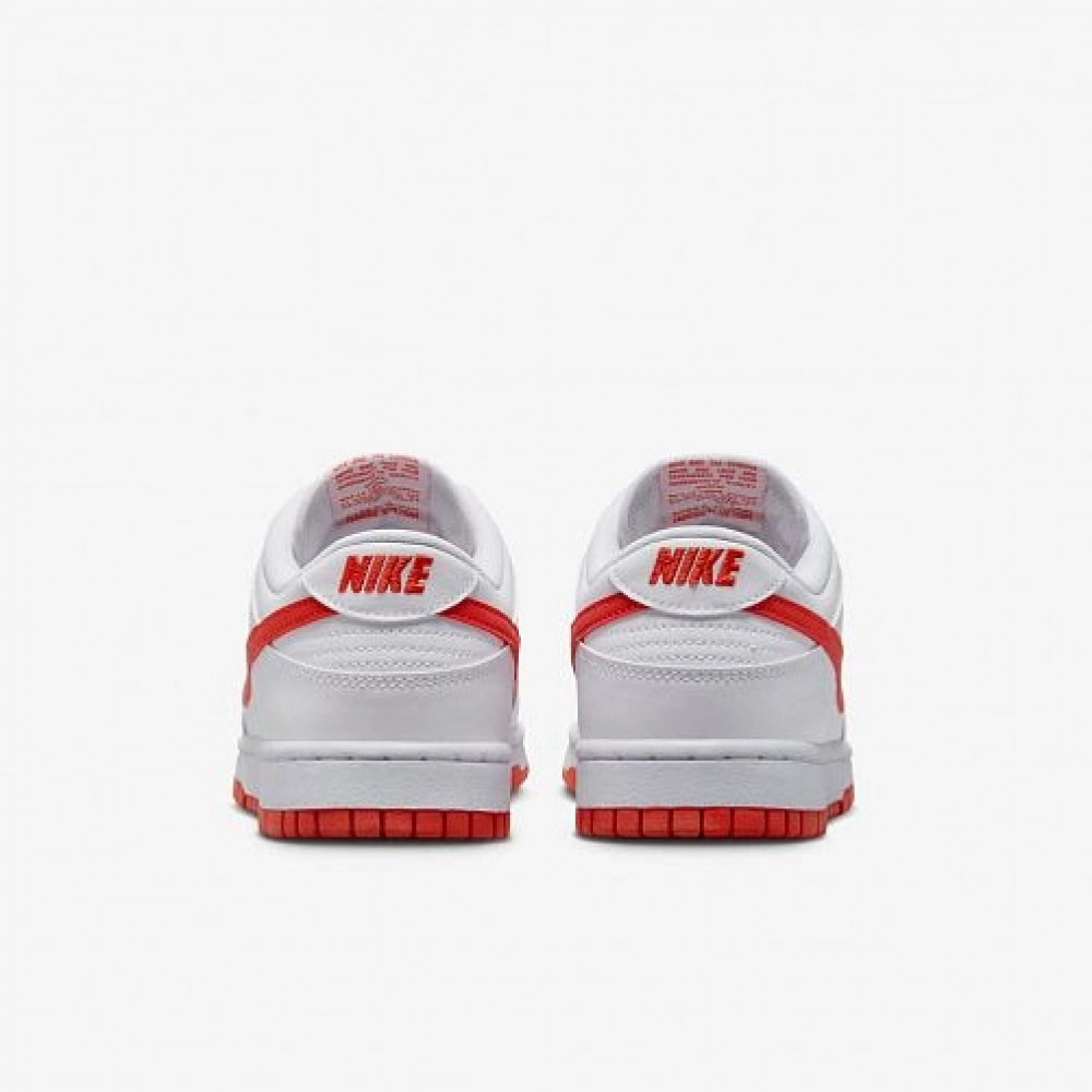 Кросівки Nike Dunk Low Retro DV0831 103