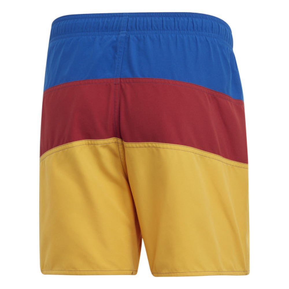 Шорти Adidas Colorblock DY6401