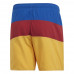 Шорти Adidas Colorblock DY6401