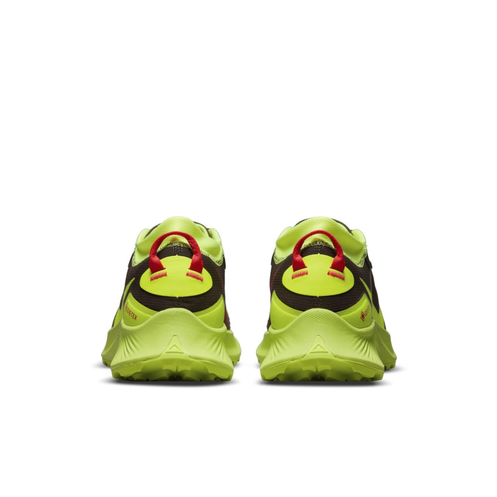 Nike Pegasus Trail 3 Gore-Tex