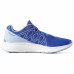 Кросівки Reebok Floatride Energy DV3879