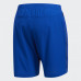 Шорти Adidas Supernova Saturday DZ1823