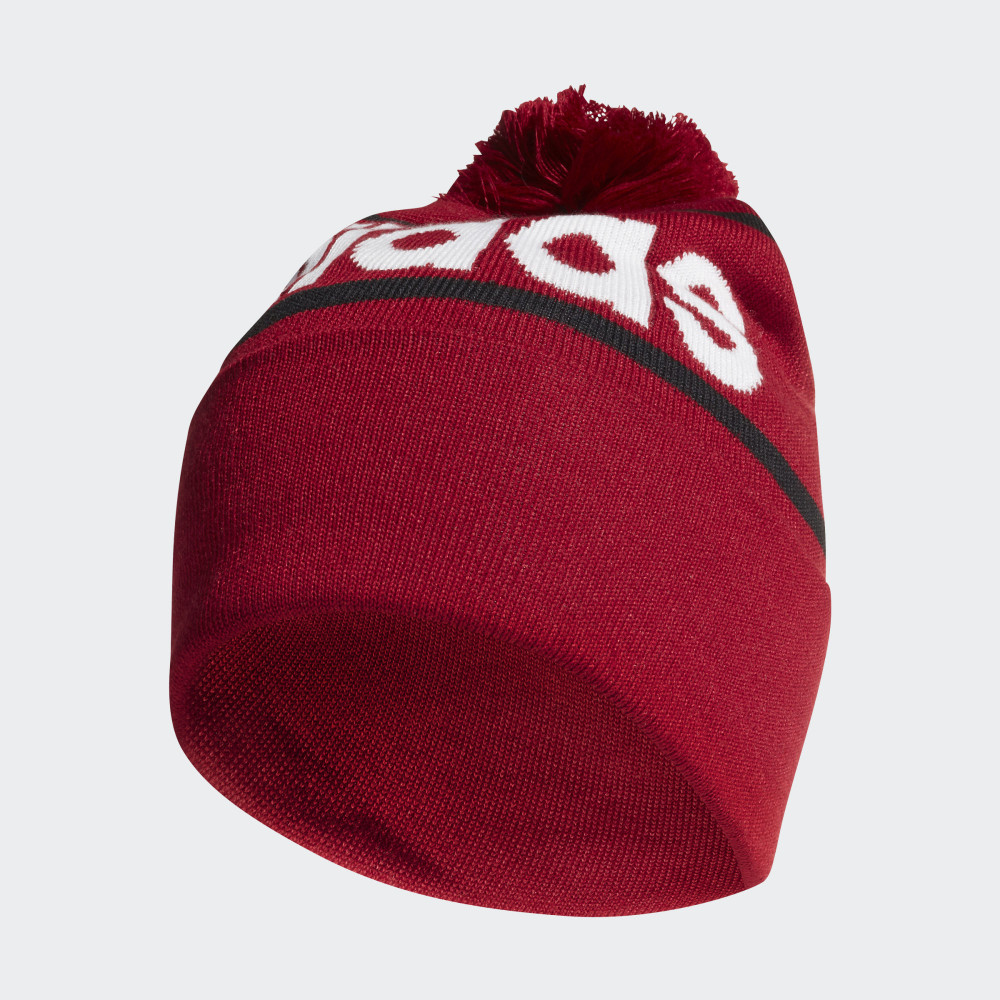 Шапка Adidas Logo Pom Woolie ED0241