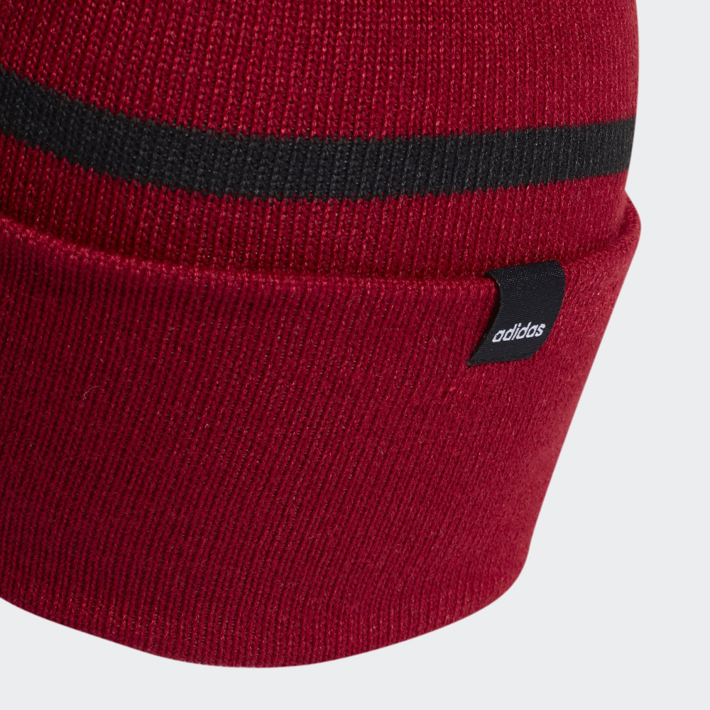 Шапка Adidas Logo Pom Woolie ED0241