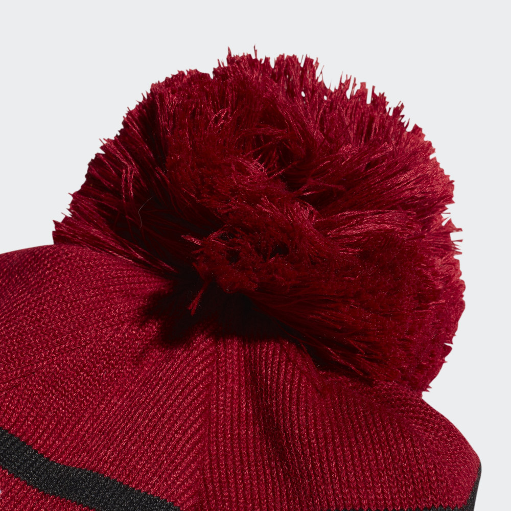 Шапка Adidas Logo Pom Woolie ED0241
